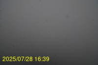Img20250728_163939.jpg