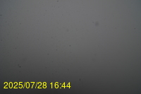 Img20250728_164439.jpg