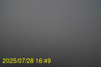 Img20250728_164939.jpg