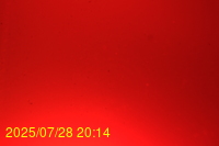 Img20250728_201440.jpg