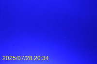 Img20250728_203440.jpg
