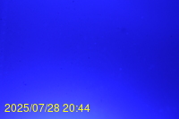 Img20250728_204440.jpg