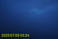 Img20250729_032441.jpg