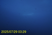 Img20250729_032941.jpg