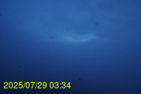 Img20250729_033441.jpg