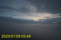 Img20250729_034941.jpg