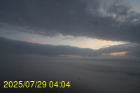 Img20250729_040441.jpg
