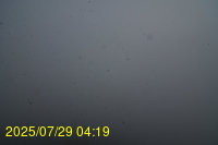 Img20250729_041941.jpg
