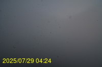 Img20250729_042441.jpg