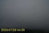 Img20250729_043941.jpg