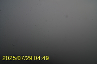 Img20250729_044942.jpg