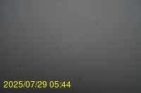 Img20250729_054442.jpg