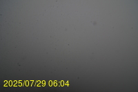Img20250729_060442.jpg