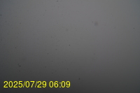 Img20250729_060942.jpg