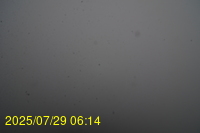 Img20250729_061442.jpg