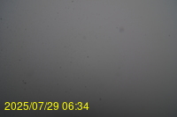 Img20250729_063442.jpg