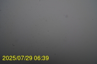 Img20250729_063942.jpg