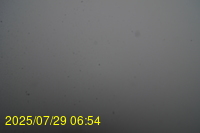 Img20250729_065442.jpg
