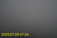 Img20250729_072442.jpg