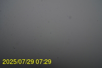 Img20250729_072942.jpg