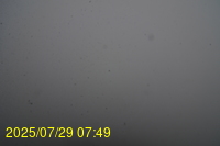 Img20250729_074942.jpg