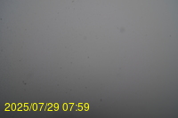 Img20250729_075942.jpg