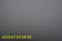 Img20250729_080942.jpg