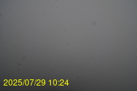Img20250729_102443.jpg