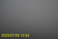 Img20250729_103443.jpg