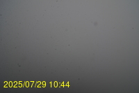 Img20250729_104443.jpg