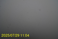 Img20250729_110443.jpg