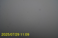 Img20250729_110943.jpg