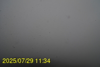 Img20250729_113443.jpg
