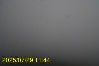 Img20250729_114443.jpg