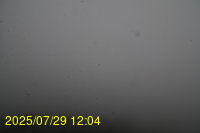 Img20250729_120443.jpg