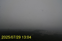 Img20250729_130443.jpg