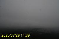 Img20250729_143943.jpg