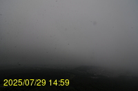 Img20250729_145943.jpg