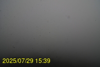 Img20250729_153943.jpg