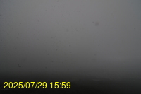 Img20250729_155944.jpg