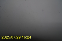 Img20250729_162444.jpg
