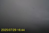 Img20250729_164444.jpg
