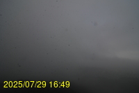 Img20250729_164944.jpg