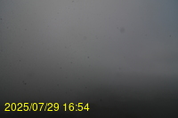 Img20250729_165444.jpg
