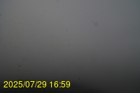 Img20250729_165944.jpg