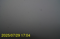 Img20250729_170444.jpg