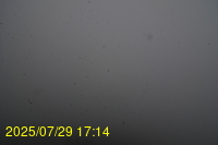 Img20250729_171444.jpg