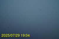 Img20250729_190444.jpg