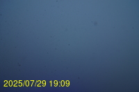 Img20250729_190944.jpg