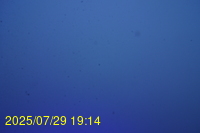 Img20250729_191444.jpg